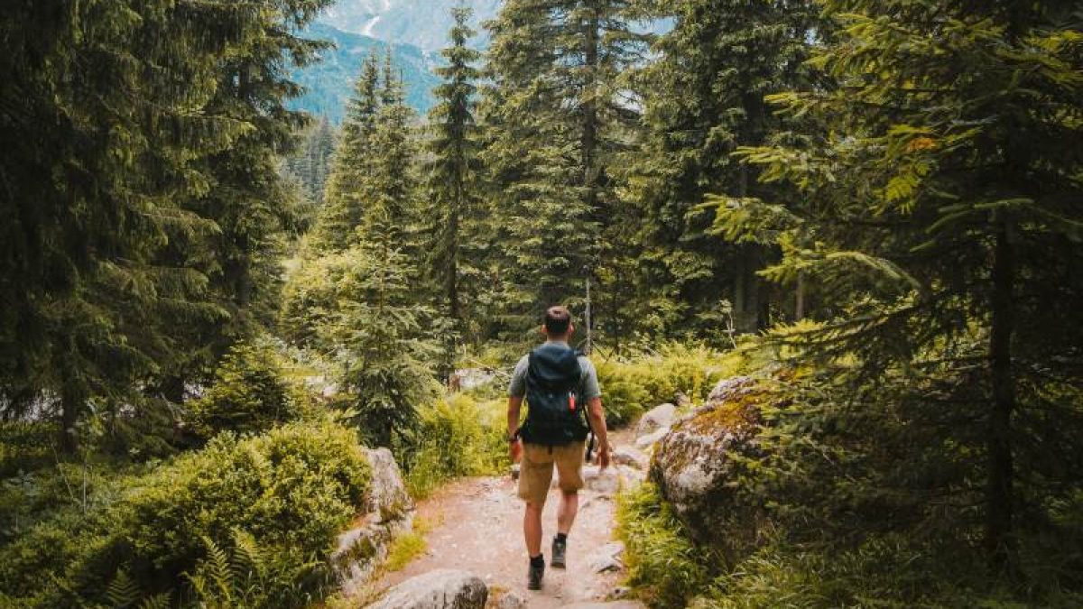 Caminatas ecológicas
