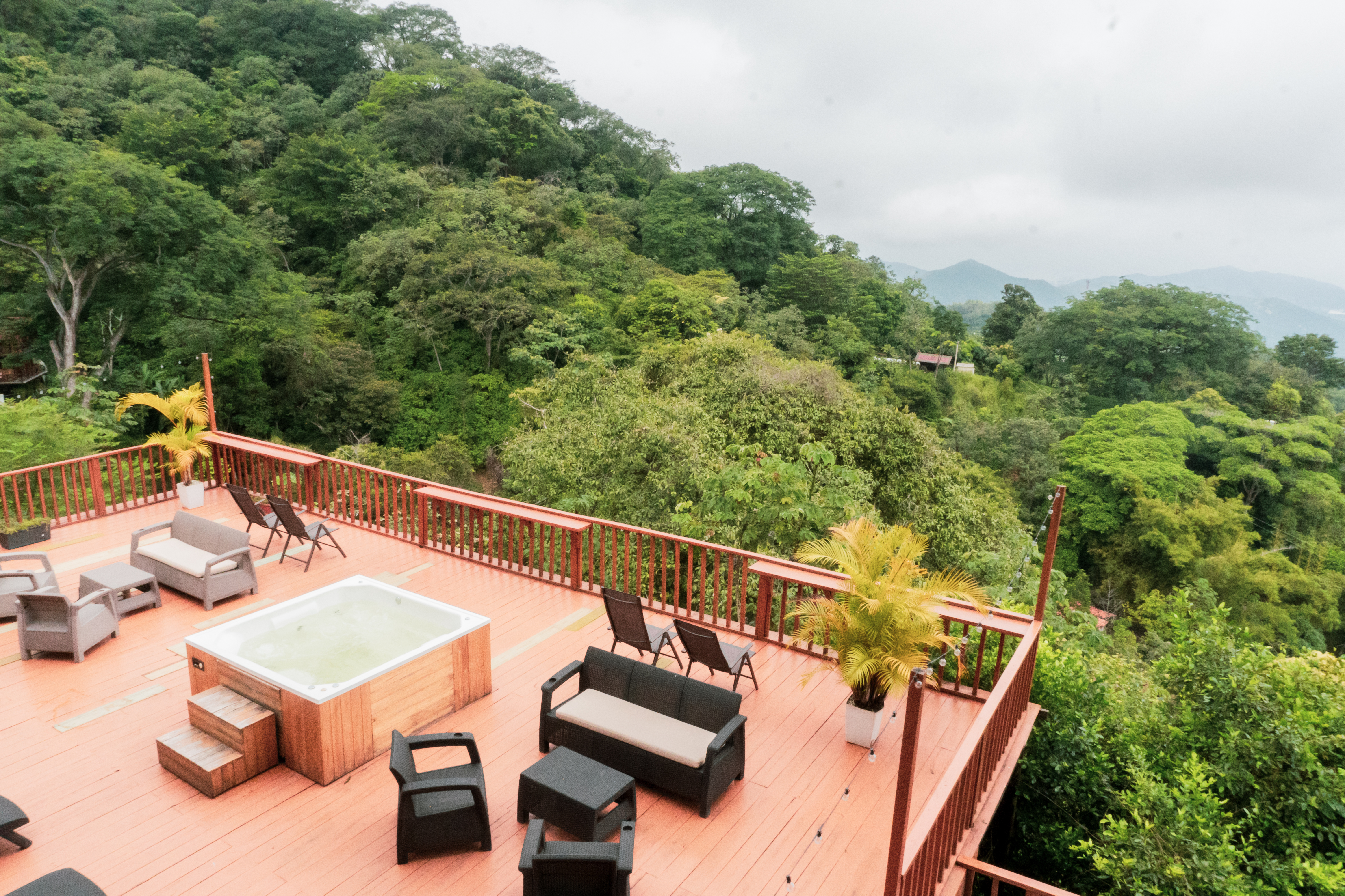 Naturaleza alrededor de Minka Paradise